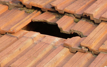 roof repair Twitchen
